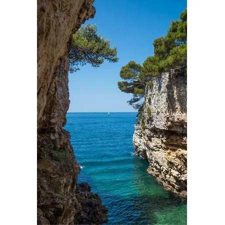 Apartment Sunny Aura - Lungomare - With Parking